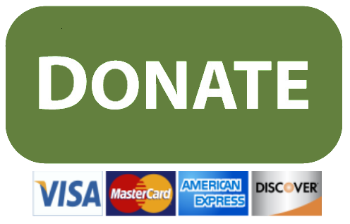Donate at Pledge